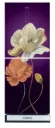 KONKA Refrigerator-KRT-315EGB-Purple Magnolia, Upper Freezer, Digital Display (315 LTR)