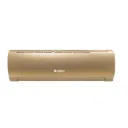 GS-24XFA32-Gree Fairy Split Air Conditioner -2 Ton-Golden